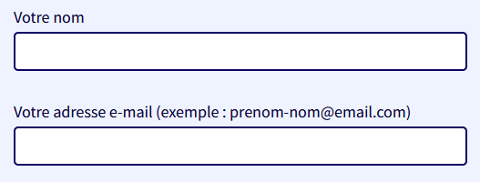 Deux champs de formulaire avec leur libellé au-dessus « Votre nom » et « Votre adresse e-mail (exemple : prenom-nom@email.com) »